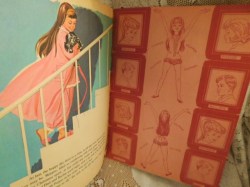 SKIPPER BOOK 65 D